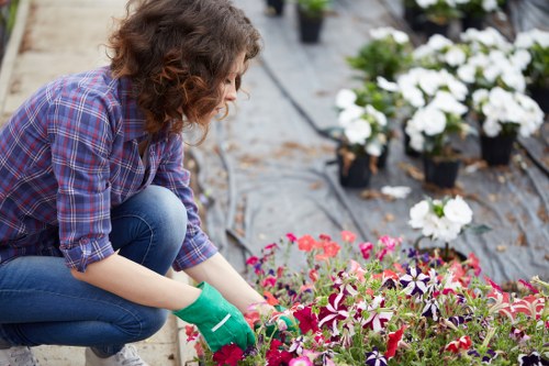 A woman with curly brown hair, wearing a purple checkered shirt, blue jeans, and green gardening gloves, is kneeling on a paved outdoor area, tending to a vibrant flower bed. The flower bed is filled with an array of colourful flowering plants in shades of pink, purple, and white, set against dark soil and bordered by a low edge. In the background, there are numerous potted white flowering plants placed on a black landscape fabric, suggesting a well-maintained garden space in Notting Hill. The scene is outdoors with natural daylight, possibly on a slightly cloudy day, highlighting the lush greenery and floral colour contrast. The overall layout indicates a thoughtfully designed garden section with a focus on flower bed enhancement, which fits into professional gardening and landscaping services in the local area, as offered by Landscapers Notting Hill.