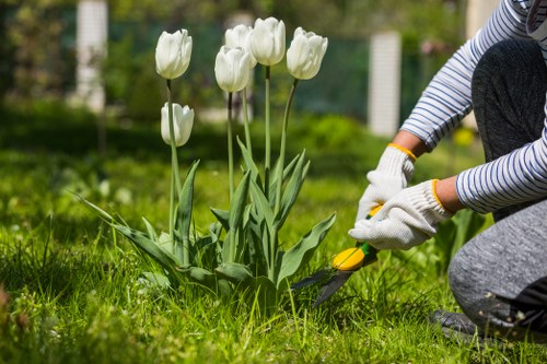 Beautifully mowed lawn in Notting Hill