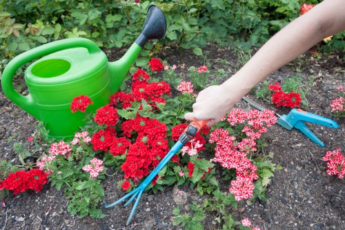 The image depicts a close-up view of a garden bed in a landscaped outdoor space, featuring vibrant red and pink flowering plants with small, densely packed blossoms. A person's hand is visible, holding a small gardening fork, tending to the soil around the plants, which appears dark and well-tilled. To the left, there is a bright green plastic watering can with a long spout, resting on the soil, suggesting ongoing garden maintenance. In the background, lush green foliage and a hedge line the garden's edge, indicating a private residential garden or backyard environment typical of suburban Notting Hill. The scene is illuminated by natural daylight, likely on a clear, mild day, emphasizing the fresh, healthy appearance of the plants and the well-kept garden layout. The overall setting highlights routine gardening activities and the importance of plant care, typical of professional gardening and landscaping services provided by companies such as Landscapers Notting Hill, supporting sustainable garden practices in the local area.