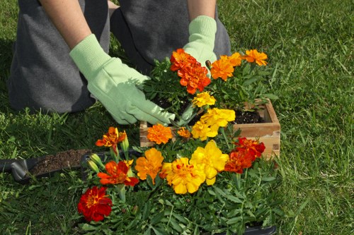 A person planting brightly coloured orange and yellow marigolds in a flower bed situated in a well-maintained garden. The gardener is wearing grey trousers and light green gardening gloves, carefully positioning the plants among lush green foliage. The flower bed is bordered by a natural soil edge, with a patch of green grass visible in the foreground, indicating a healthy, outdoor garden environment typical of residential landscaping spaces in Notting Hill. The scene is illuminated by natural daylight, suggesting clear weather. This gardening activity highlights the careful planting and maintenance involved in creating vibrant outdoor spaces, aligning with professional gardening services offered by Landscapers Notting Hill in the local area.