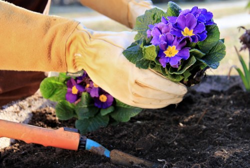 Experienced tree service team in Notting Hill