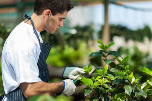 A young male gardener wearing a white t-shirt, a dark striped apron, and white gardening gloves is closely tending to a lush green shrub in a well-maintained outdoor garden space. The garden features a neatly edged flower bed with vibrant green foliage and appears to be situated within a greenhouse or conservatory environment, as suggested by the blurred background of glass panels and supporting structures. The scene captures a natural outdoor setting in Notting Hill, with soft, diffuse lighting indicating a bright, possibly partly cloudy day. The gardener carefully prunes or inspects the healthy, leafy plant, emphasizing professional landscaping and gardening care aimed at enhancing garden aesthetics and plant health. The overall environment reflects meticulous landscaping and gardening services tailored for residential properties in London neighborhoods like Notting Hill, supporting robust outdoor maintenance and garden design efforts by companies such as Landscapers Notting Hill.