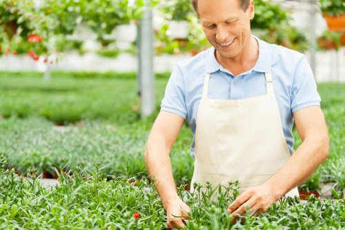 A professional gardener in a light blue shirt and cream apron tending to lush, green plants in a well-maintained garden. The garden features a vibrant, neatly organized lawn with dense grass, bordered by a variety of healthy, leafy shrubs and small flowering plants. In the background, there are mature trees providing shade and a glimpse of a greenhouse structure with glass panels, suggesting a horticultural setting. The scene is illuminated by natural daylight, with bright, even lighting indicating clear weather conditions. The gardener appears focused on trimming or inspecting the plants, highlighting outdoor gardening and landscaping care services typical of the Notting Hill area. The garden layout is spacious and thoughtfully arranged, with a mix of textures and natural colours that emphasize a professionally maintained outdoor space catered to enhance garden aesthetics and plant health, aligning with the services provided by Landscapers Notting Hill.