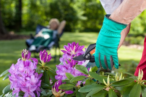 A gardener's hand wearing a bright teal gardening glove is trimming a bush with a small pruning shear, focusing on vibrant pink and purple rhododendron flowers with glossy green leaves. The background depicts a well-maintained back garden with a lush green lawn, bordered by mature trees and a low hedge, providing a natural, private outdoor space typical of gardens in Notting Hill. The scene is set in bright daylight, highlighting the healthy foliage and vibrant colors of the flowers. The gardener appears to be professionally maintaining the garden, which includes a paved area and a wooden deck visible in the background, contributing to a tidy and cultivated outdoor environment. This scene illustrates careful garden management suitable for landscaping and lawn care services that Landscapers Notting Hill offer in the local area, with the focus on plant trimming and garden upkeep within a landscaped yard environment.