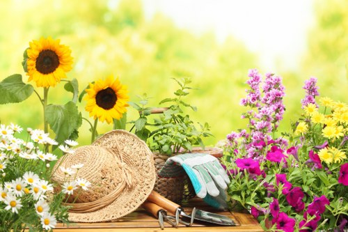 Meet the expert team at Landscapers Notting Hill