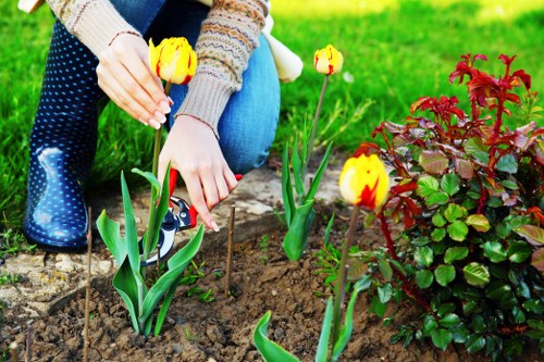 Efficient irrigation system in a Notting Hill landscape garden