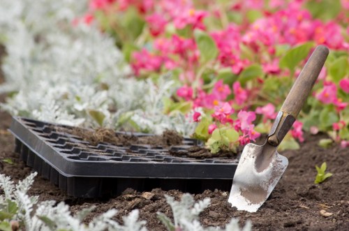 Professional landscaper enhancing a Notting Hill garden