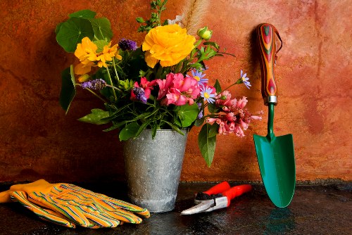 A close-up of a gardening workspace featuring a metal pot filled with a vibrant assortment of flowers, including yellow, pink, purple, and white blooms, set against a warm-toned orange wall. To the right of the pot, there is a small green-handled hand trowel with a shiny metal blade, and a pair of red-handled pruning shears resting on a dark surface. On the left side of the image, a pair of yellow and orange striped gardening gloves is folded. The scene captures tools and floral arrangements typical of gardening and planting activities, suggesting an outdoor or greenhouse environment in Notting Hill, with natural lighting highlighting the bright colours of the flowers and garden tools, conveying a professional and seasonal garden preparation context.