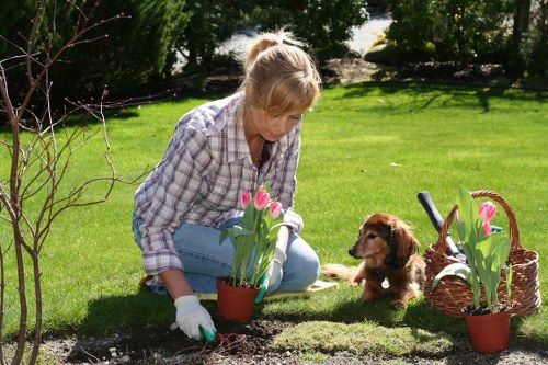 A woman with light hair pulled back, dressed in a checked shirt and jeans, is kneeling on a well-maintained green lawn in a garden, tending to flower beds with pink tulips in terracotta pots. She is wearing gardening gloves and appears to be planting or weeding. To her right, a small brown puppy sits attentively near a woven basket filled with additional pink tulips and gardening tools. The garden features neatly cut grass, a small flower bed bordered by dark soil, and is shaded by nearby trees and shrubs, creating a peaceful outdoor environment. The background includes a lush garden area with taller bushes and trees, contributing to the natural setting. The scene is illuminated by bright natural sunlight, suggesting a clear, mild day suitable for outdoor gardening activities. This image reflects an outdoor gardening scene typical of a residential garden in Notting Hill, incorporating elements like flower containers, a lawn, and garden accessories, relevant to gardening services offered in the area by Landscapers Notting Hill.