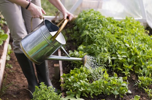 Sustainable landscaping practices in a Notting Hill garden