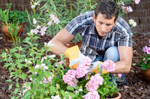High-quality hedge trimming tools